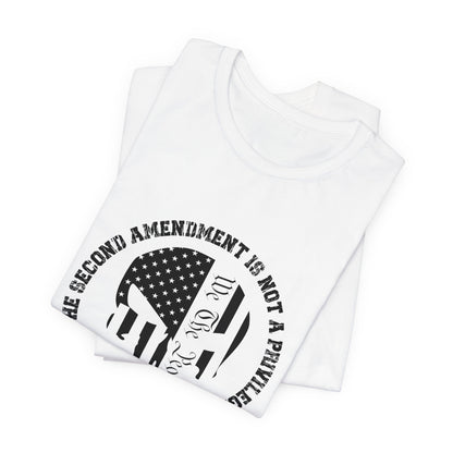 2nd Amendment Is Not A Privilege Unisex Jersey Short Sleeve Tee